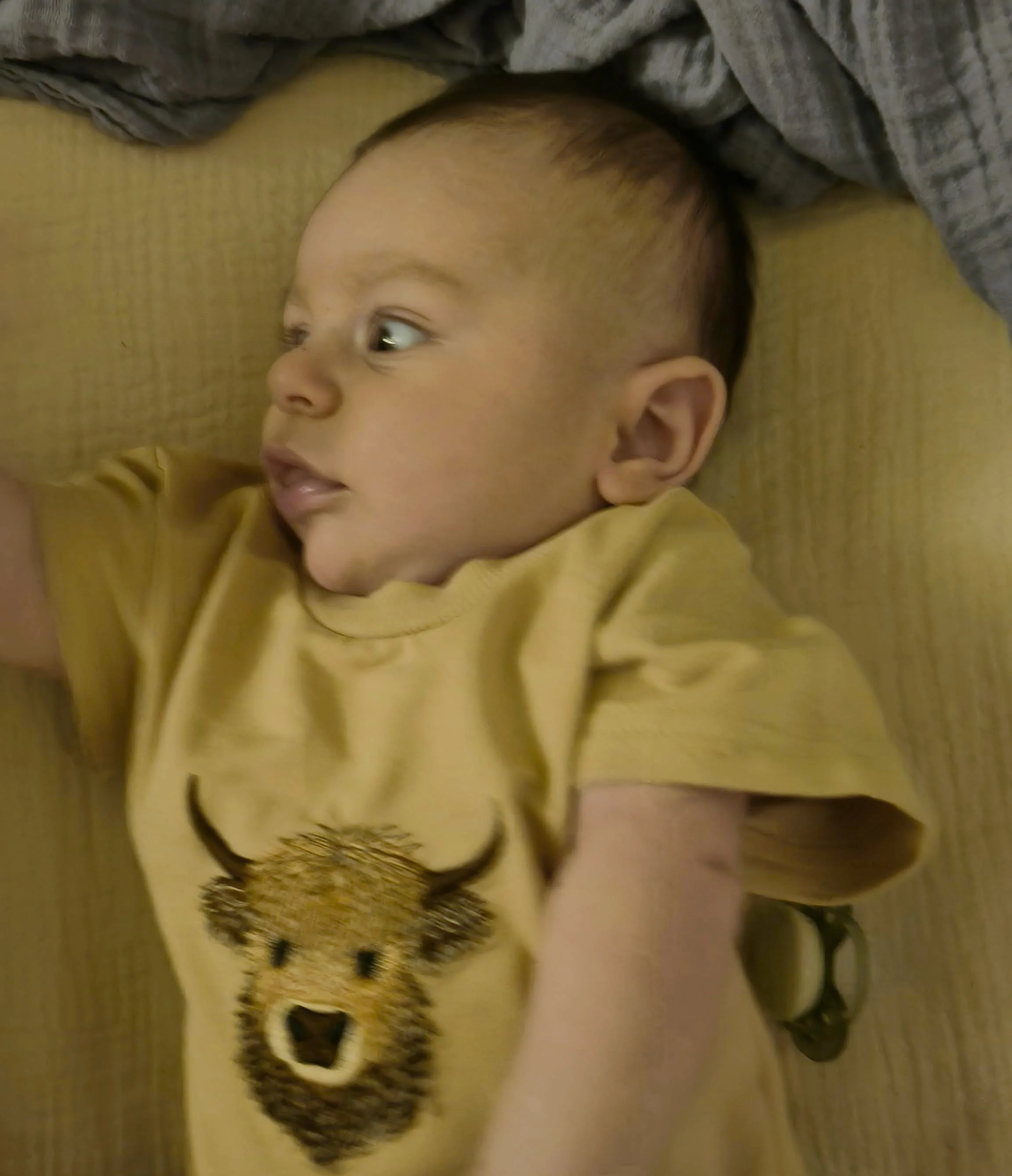 Photo from The Man In The Bassinet