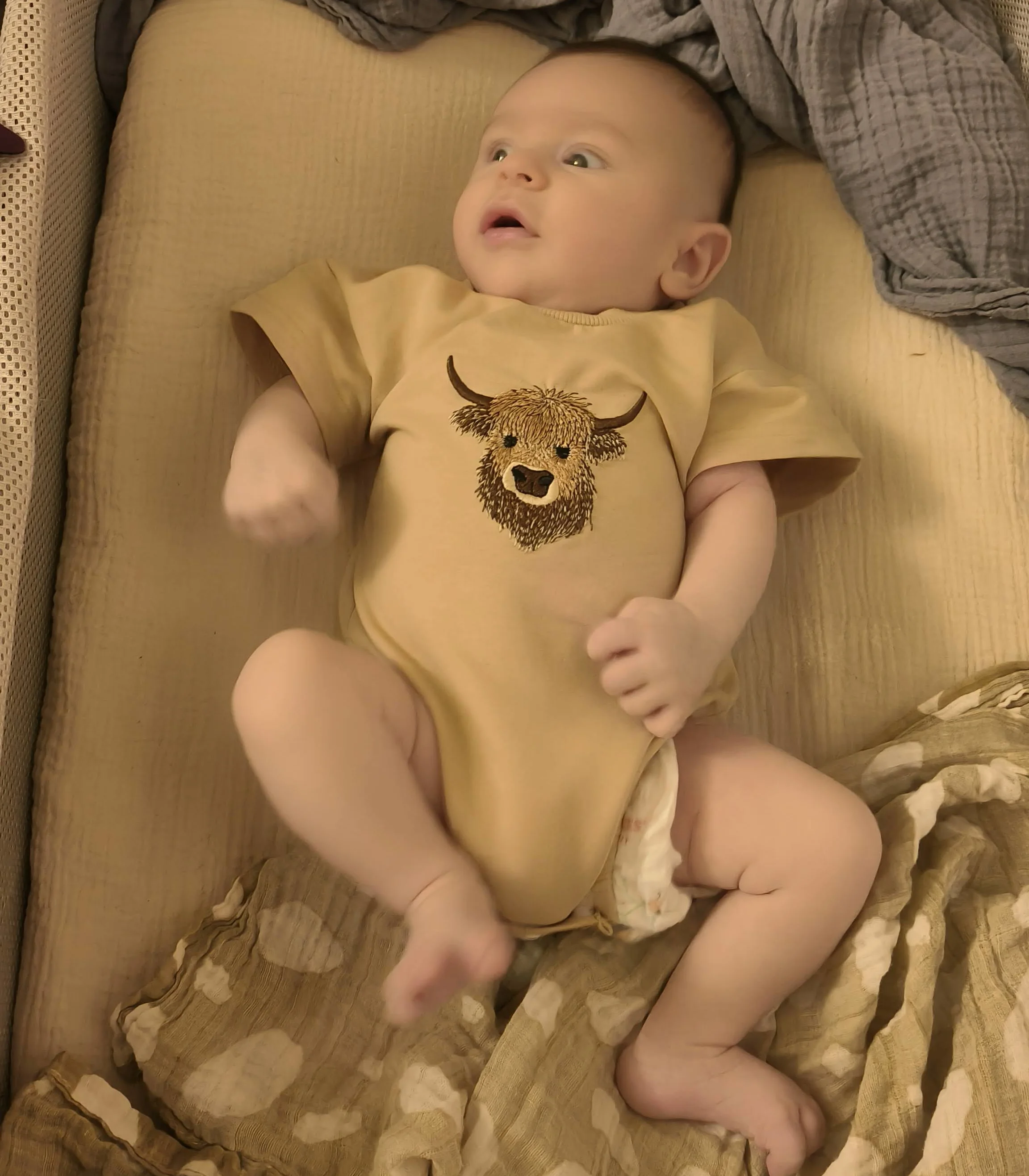 Photo from The Man In The Bassinet