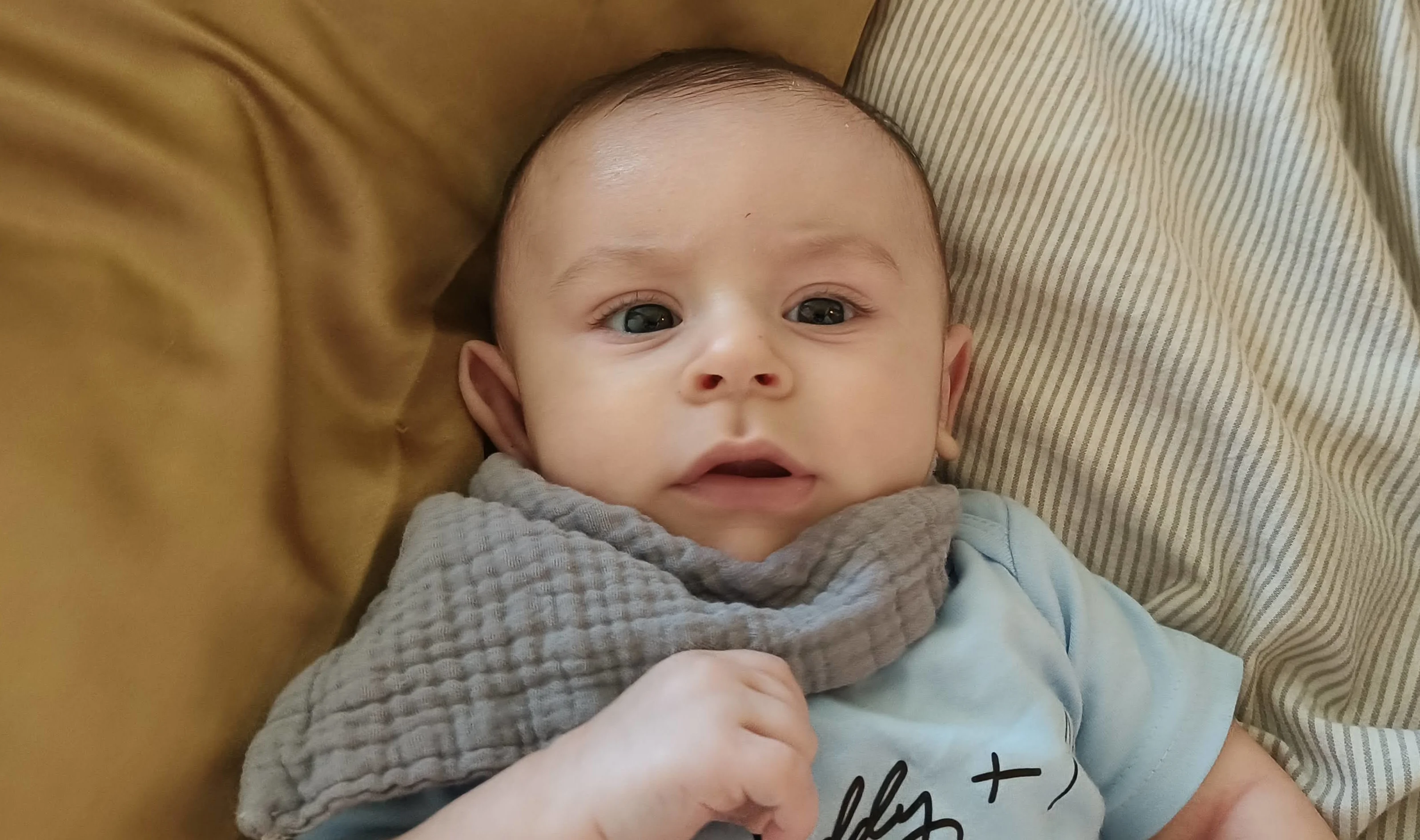 Ezra with a Hoopoe bird