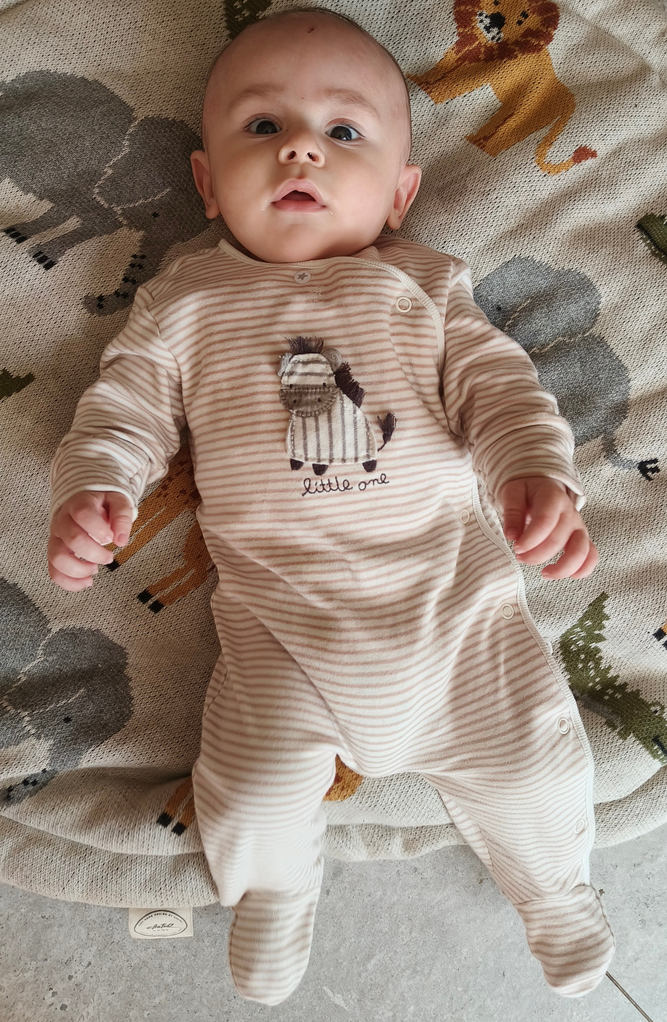 Photo from Little One Onesie