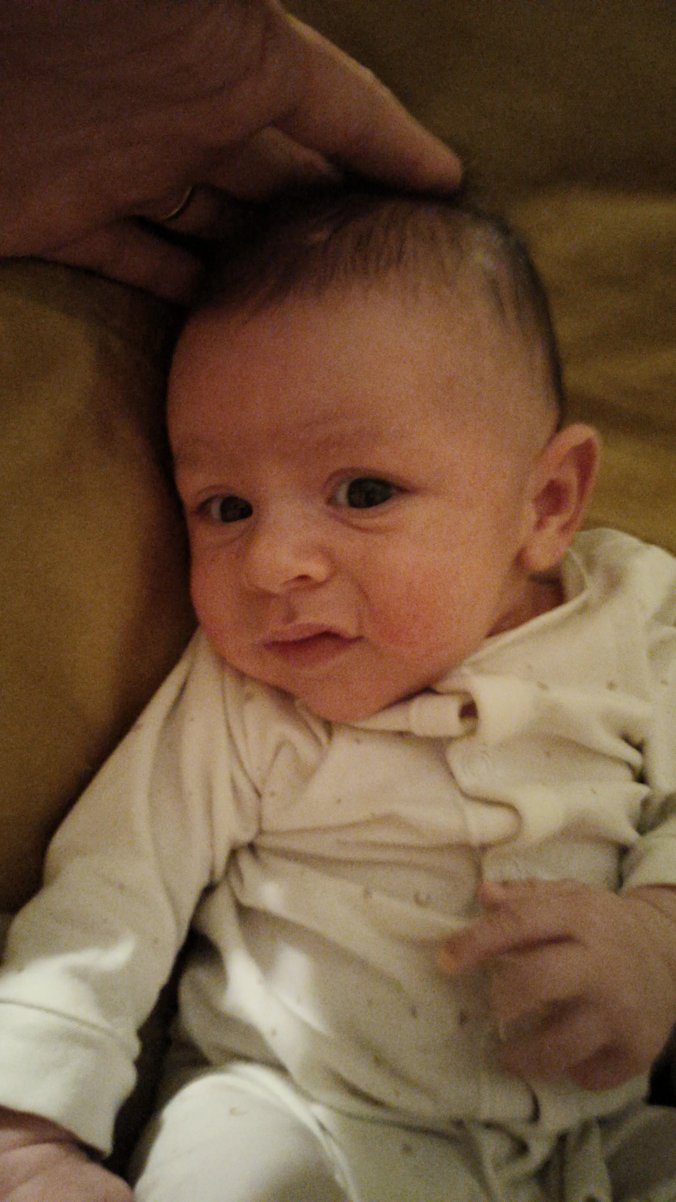 Photo from AUG 06 - AUG 14