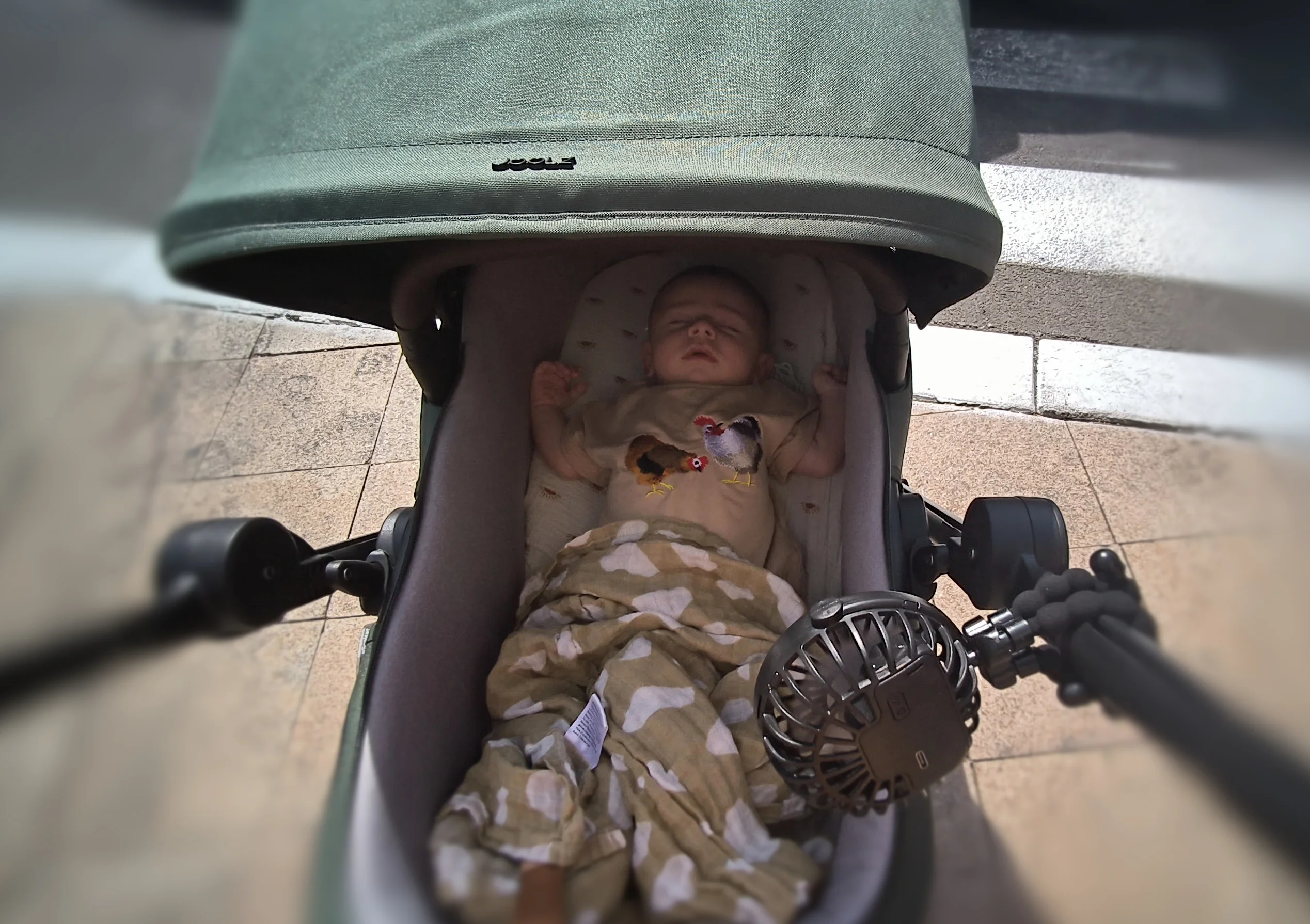 Photo from AUG 06 - AUG 14