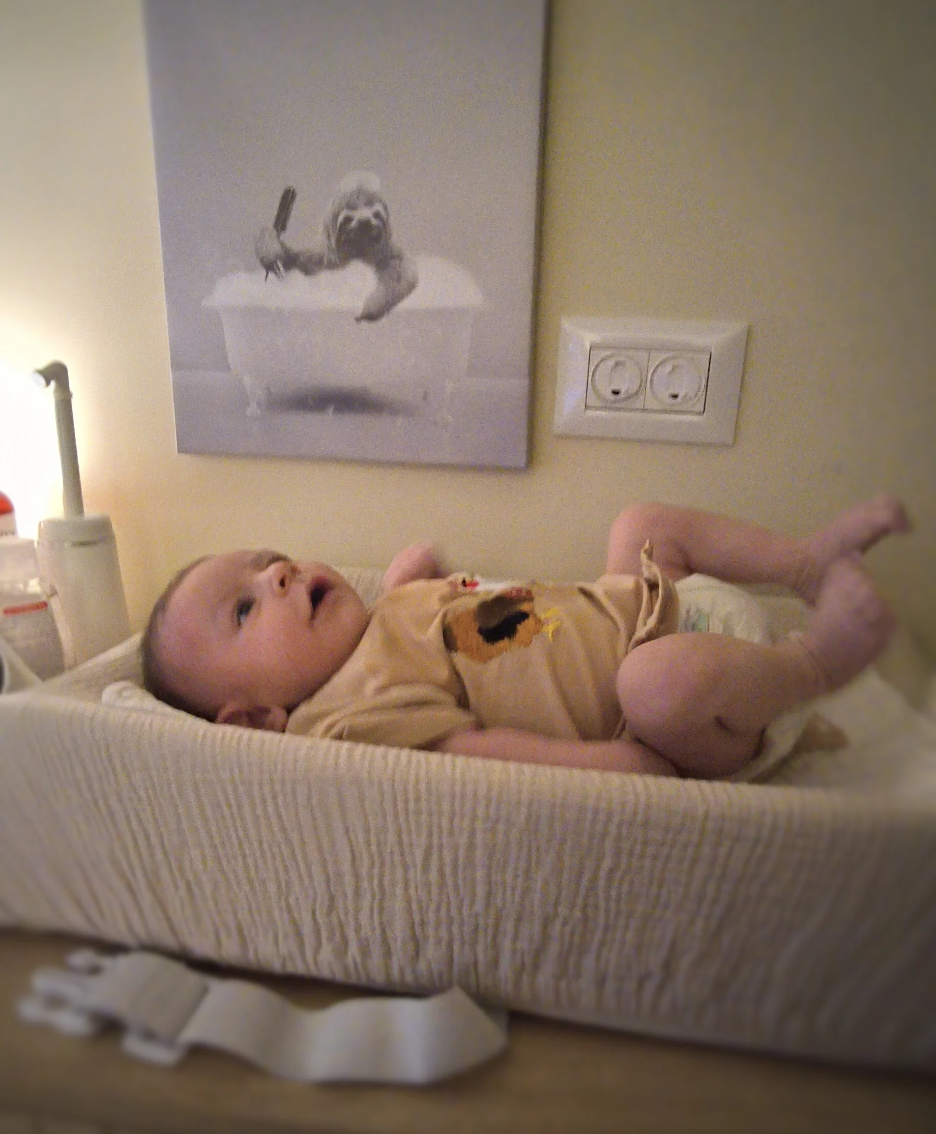 Photo from AUG 06 - AUG 14