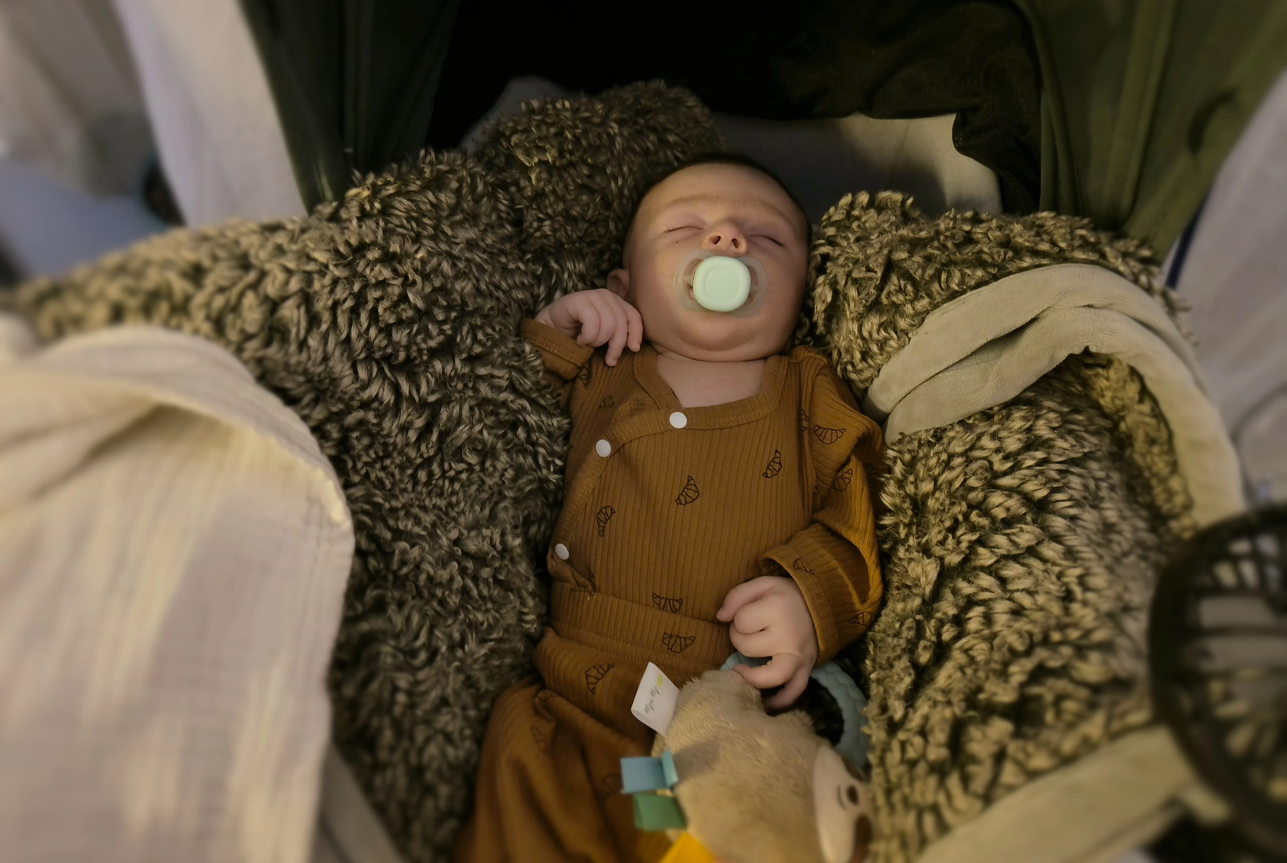 Photo from AUG 06 - AUG 14