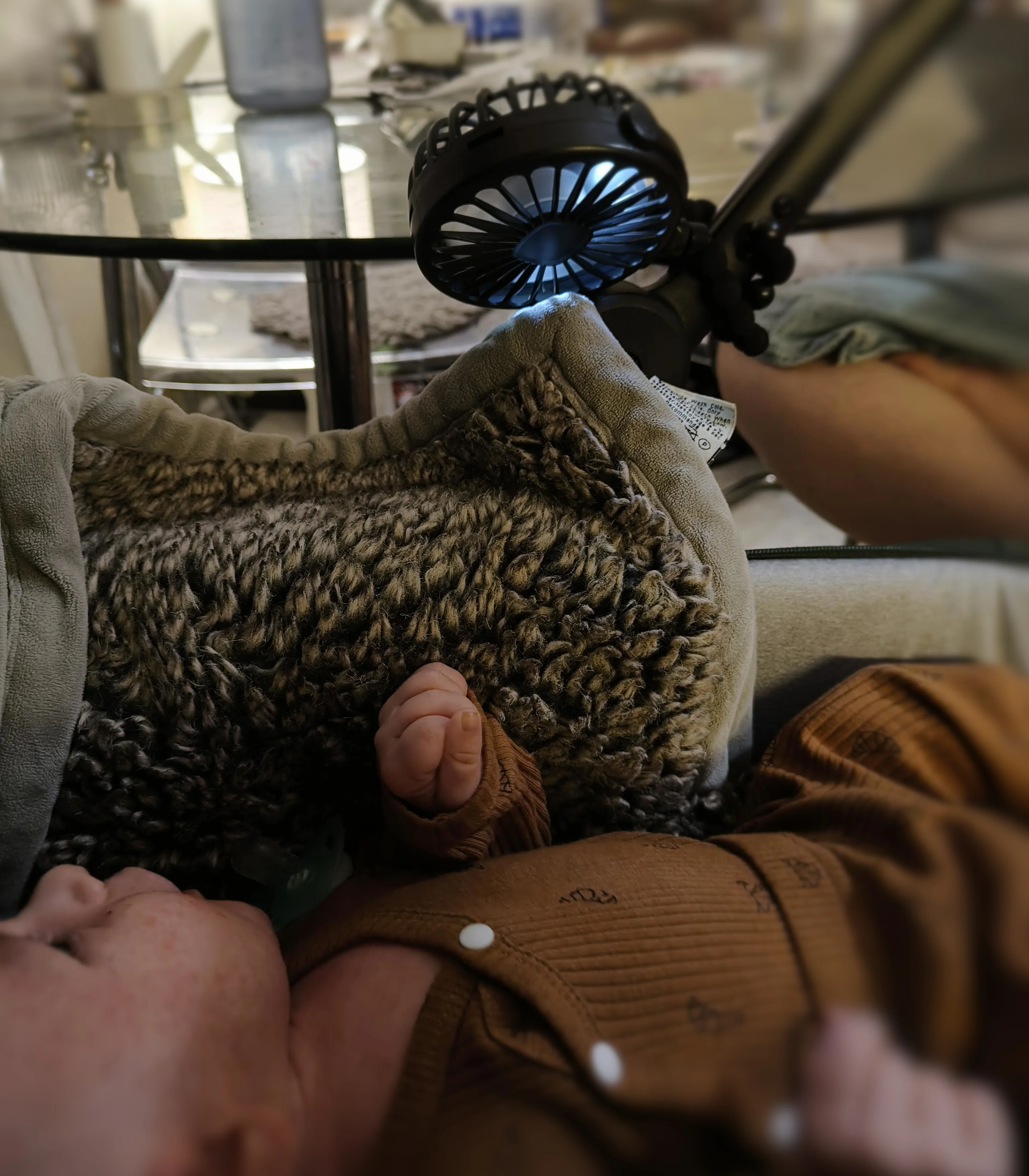 Photo from AUG 06 - AUG 14