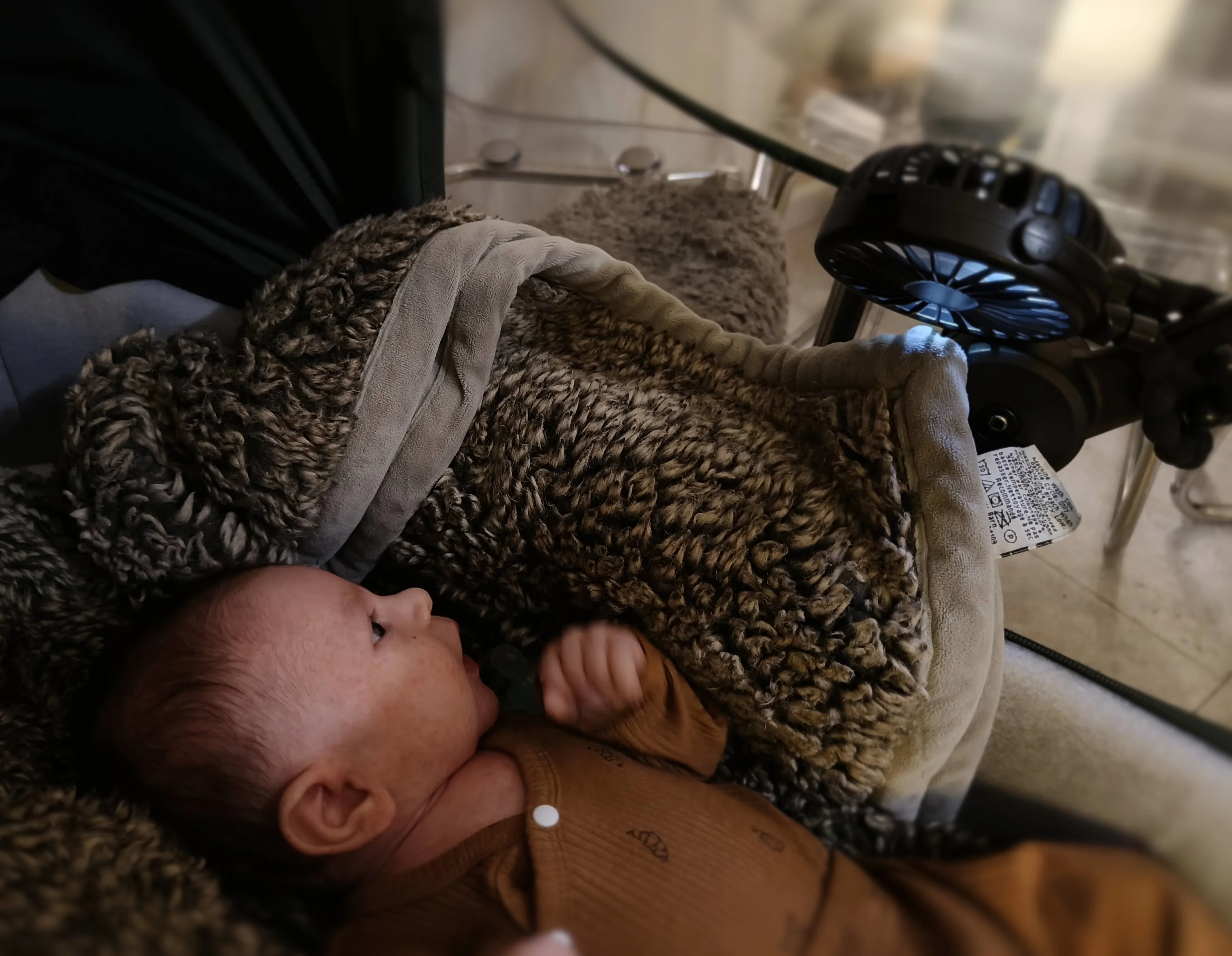 Photo from AUG 06 - AUG 14