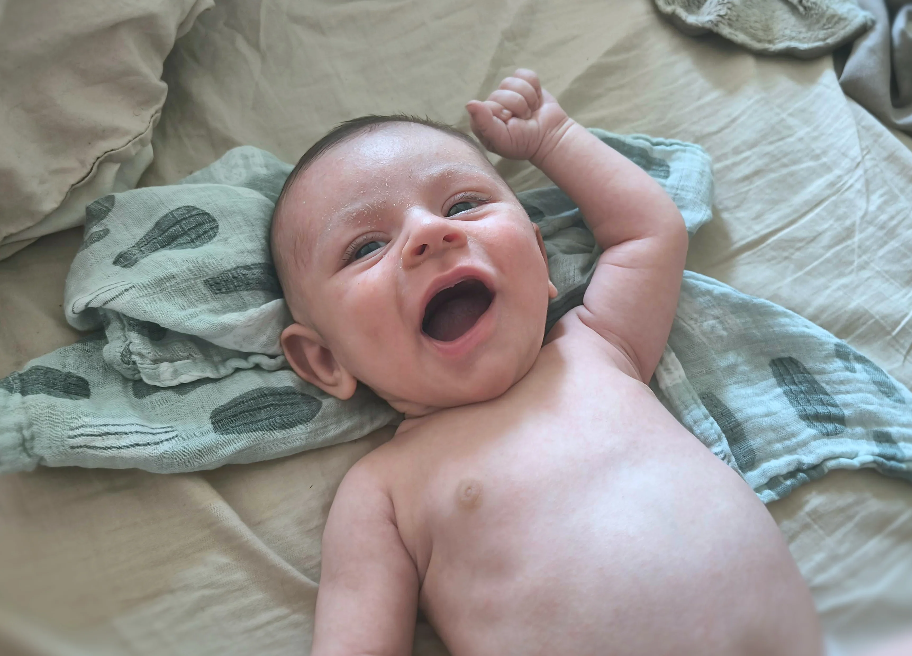 Photo from AUG 06 - AUG 14