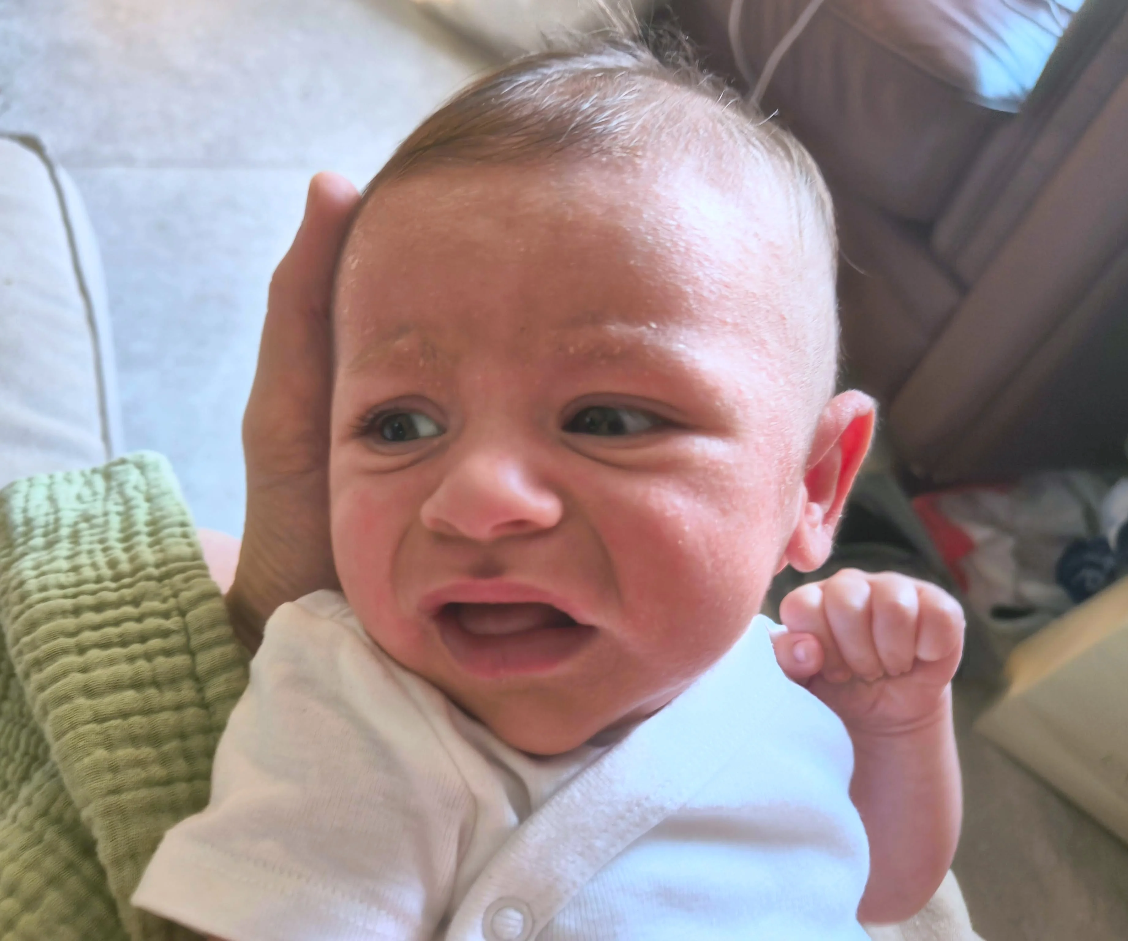 Photo from AUG 06 - AUG 14