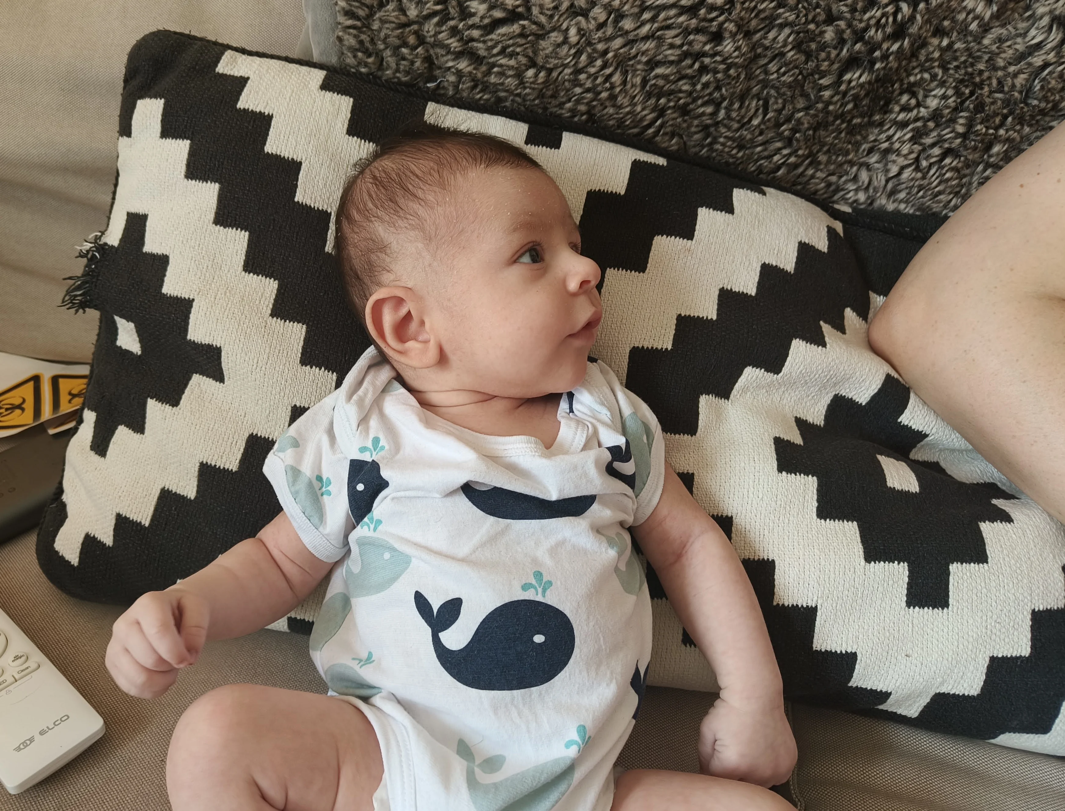 Photo from AUG 06 - AUG 14