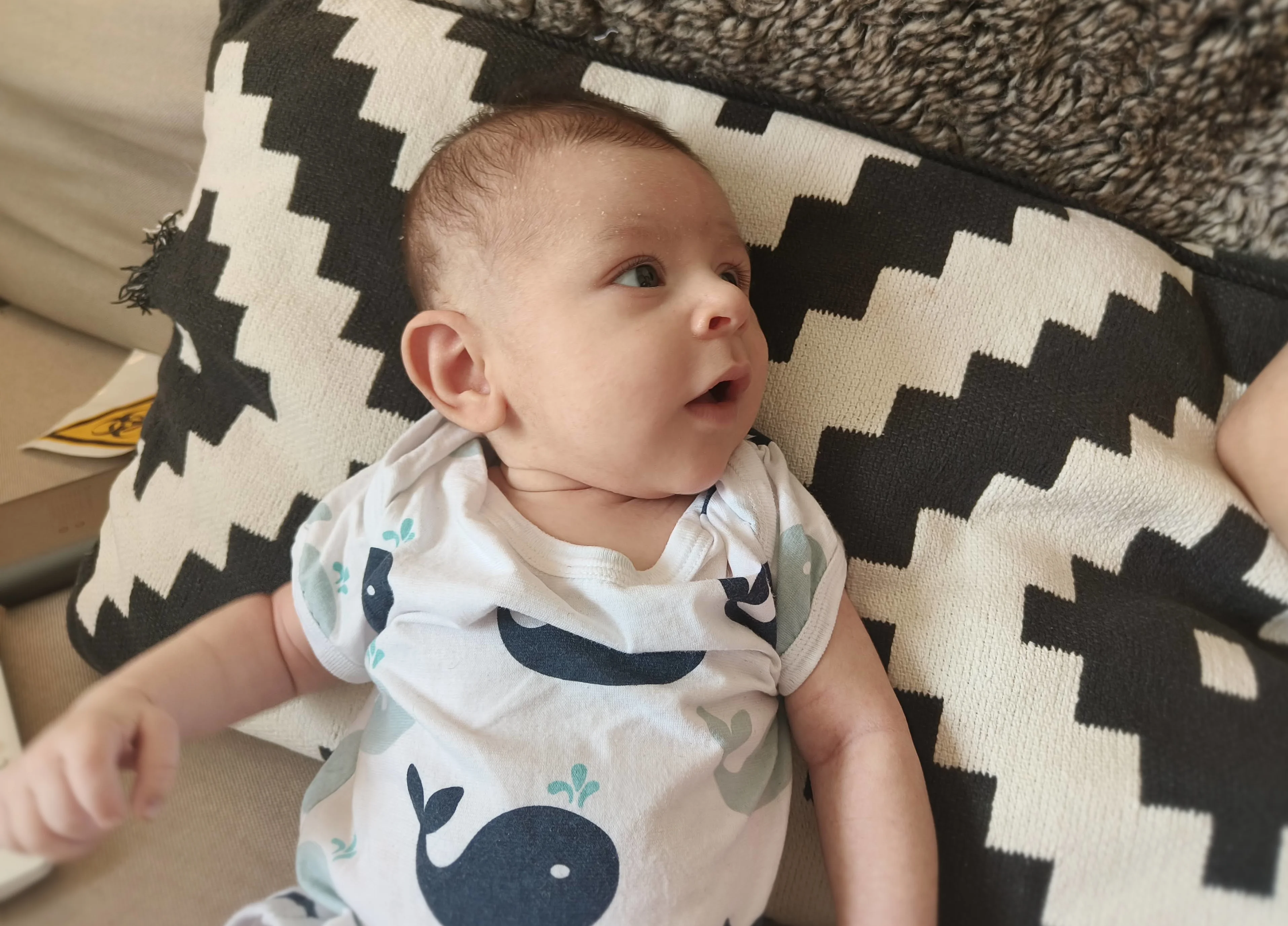 Photo from AUG 06 - AUG 14