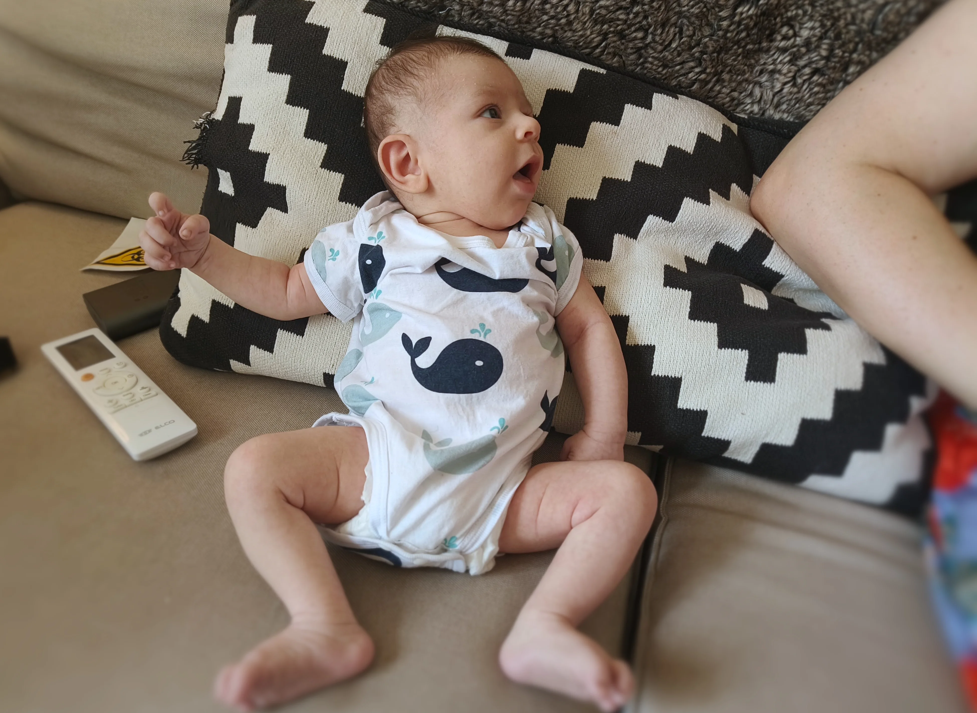 Photo from AUG 06 - AUG 14