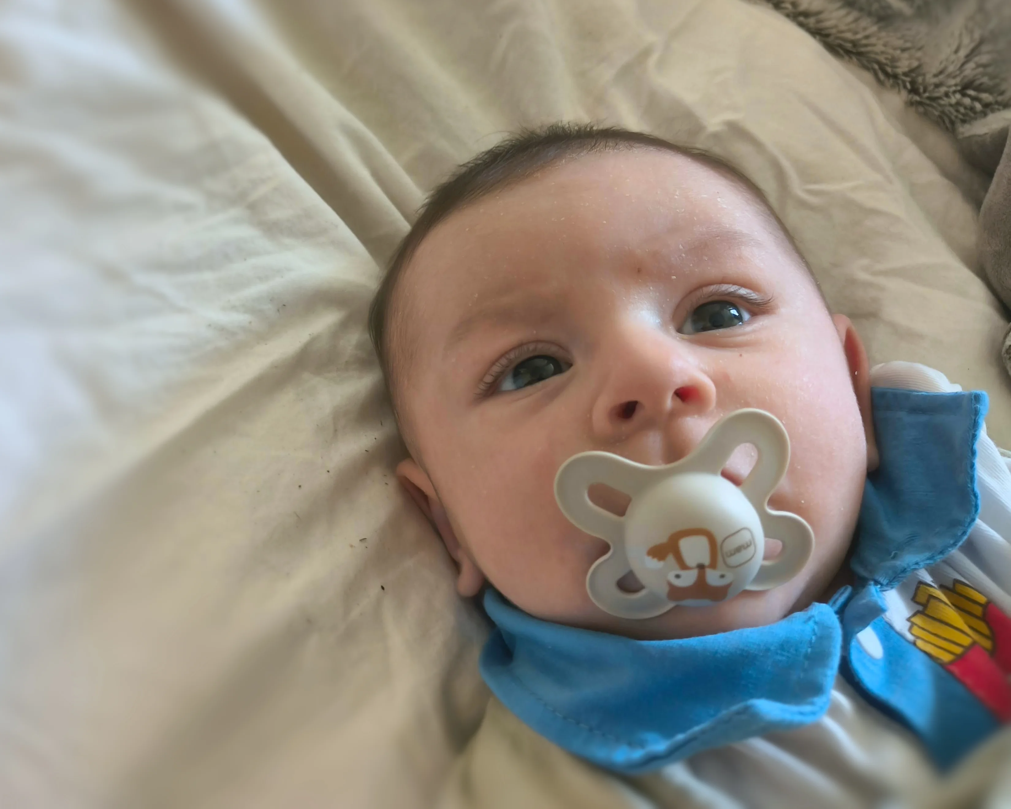 Photo from AUG 06 - AUG 14