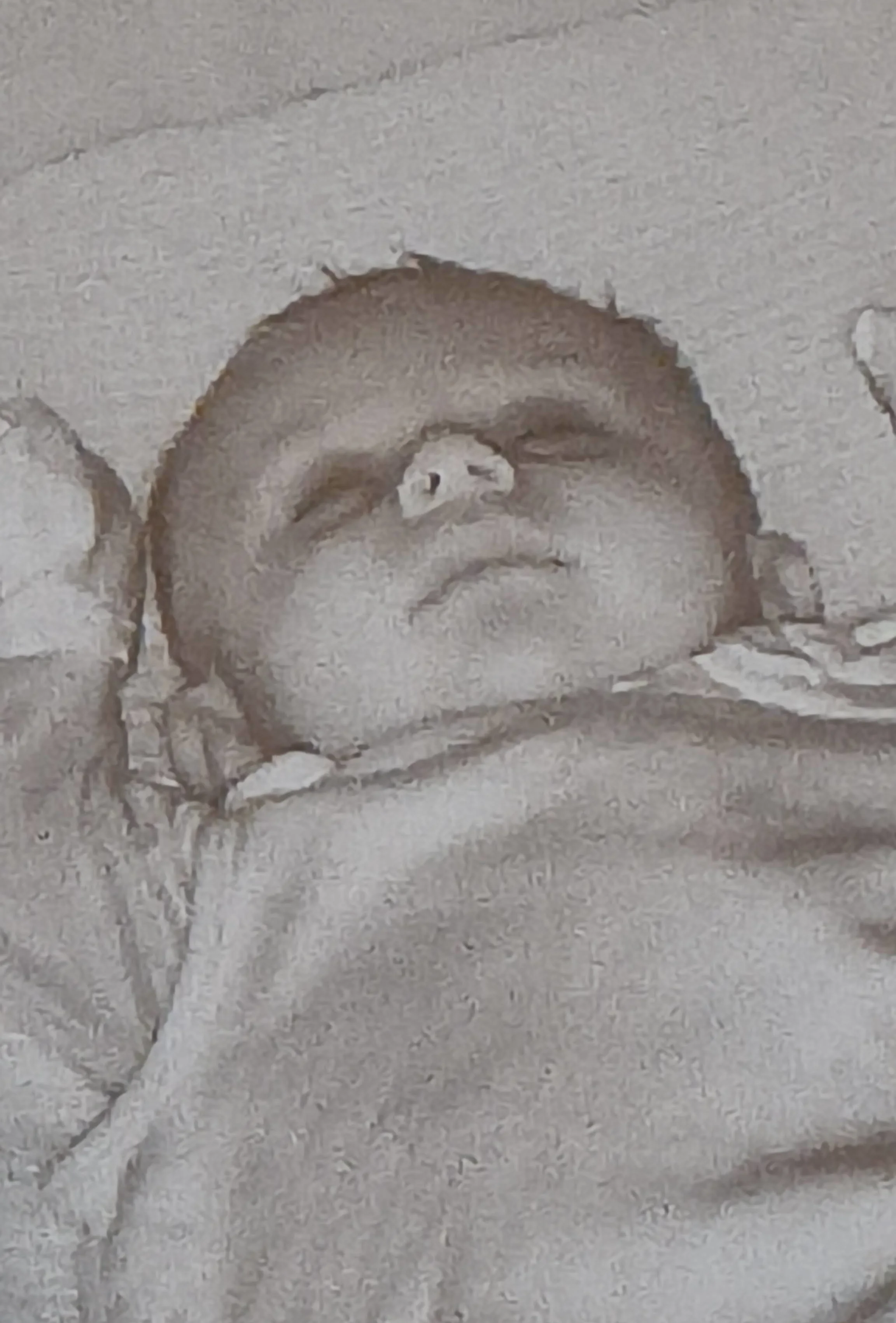 The Eye In The Sky - IMG20250928001940.webp