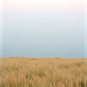 Cover art for The Noise Of Tel Aviv